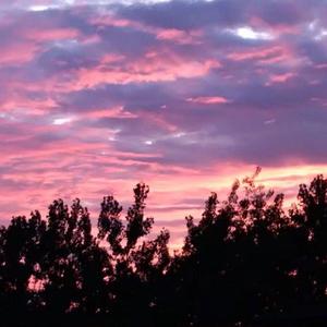 被强奸香艳视频
