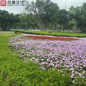 被强奸香艳视频
